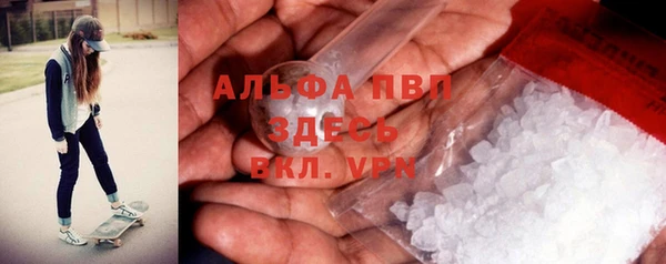 прущие крисы Богданович