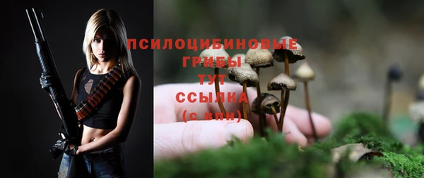 кокс Богородск