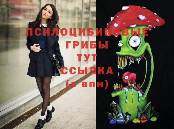 прущие крисы Богданович