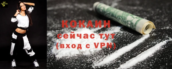COCAINE Богородицк