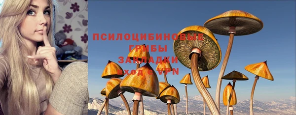 COCAINE Богородицк
