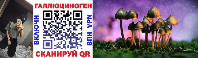 купить наркоту  Светогорск  Галлюциногенные грибы MAGIC MUSHROOMS 